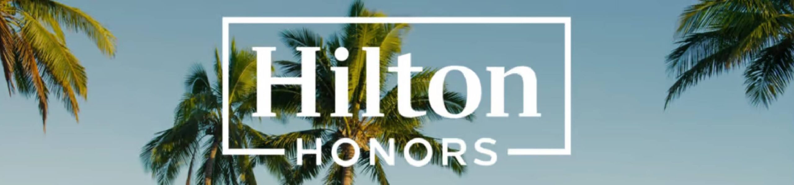 Hilton Banner