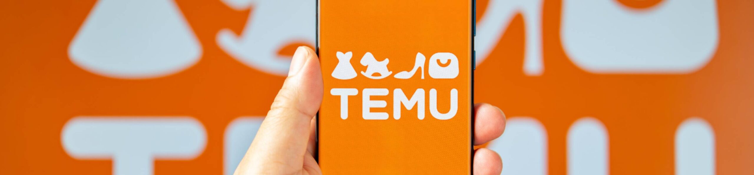 TEMU Banner