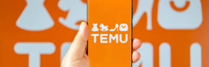 TEMU logo